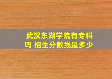 武汉东湖学院有专科吗 招生分数线是多少